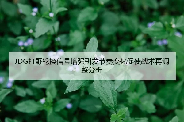 JDG打野轮换信号增强引发节奏变化促使战术再调整分析
