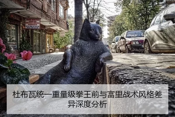 杜布瓦统一重量级拳王前与富里战术风格差异深度分析