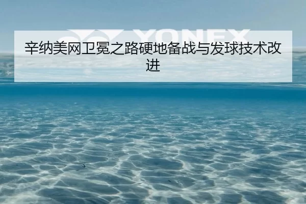xin-na-mei-wang-wei-mian-zhi-lu-ying-di-bei-zhan-yu-fa-qiu-ji-shu-gai-jin-3-892.jpg