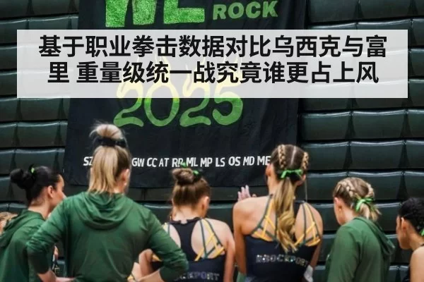 基于职业拳击数据对比乌西克与富里 重量级统一战究竟谁更占上风