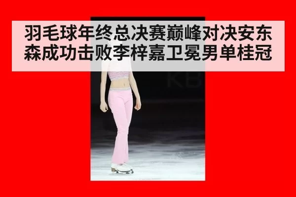 羽毛球年终总决赛巅峰对决安东森成功击败李梓嘉卫冕男单桂冠