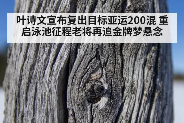 叶诗文宣布复出目标亚运200混 重启泳池征程老将再追金牌梦悬念